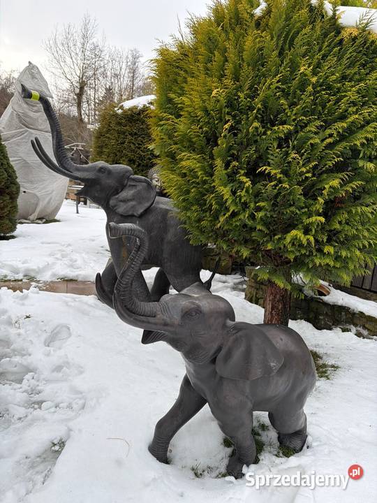 Słoń słonie z brązu duże i solidne Długopole-Zdrój