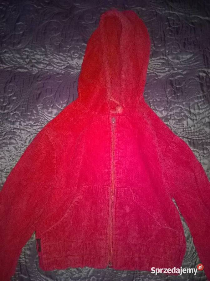 Kurteczka uniwersalna Świętajno sprzedam