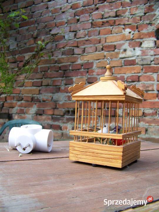 klatka drewniana z ptaszkami 15 Białogard