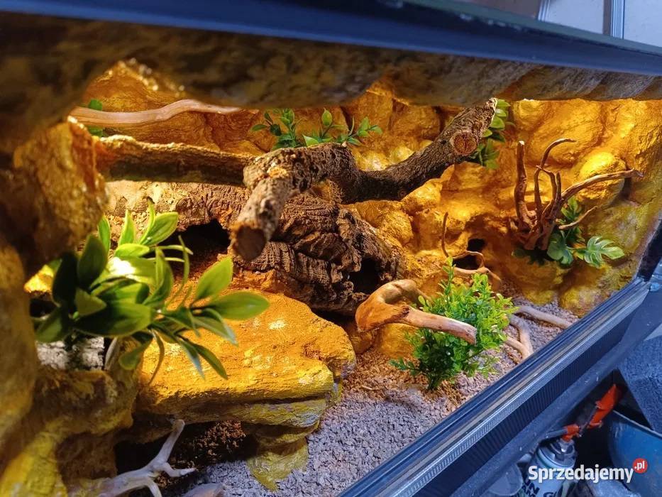 Terrarium gekon 80x40x40