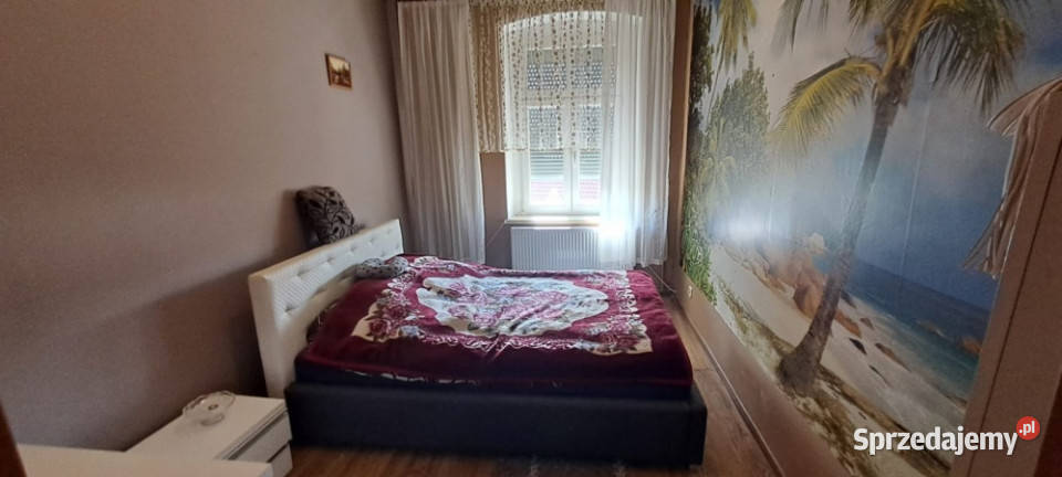 Sprzedam mieszkanie Krzydlina Mała 7239 m2 dolnośląskie