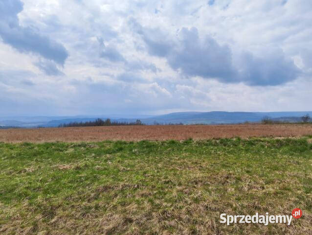 Działka 1592m2 Grudza