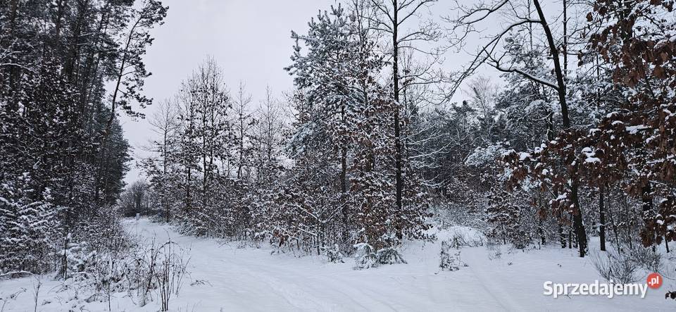 Działka budowlana 1000M2 WZ BRZÓZA Brzóza