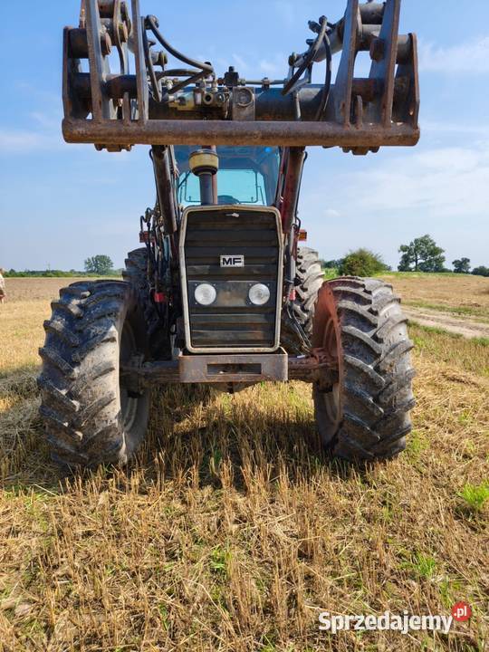 Massey Ferguson 699 ładowacz opony nowe Massey Ferguson Zygry
