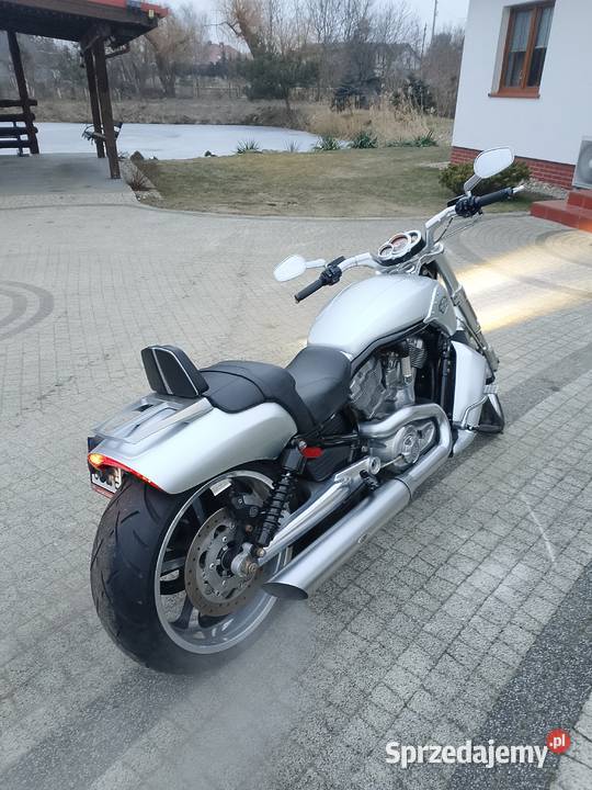 Harley Davidson Wołów