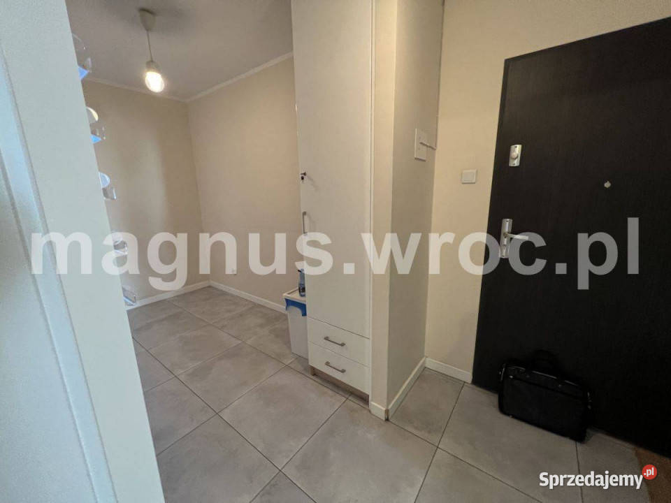 Do wynajęcia lokal użytkowy na Ołbinie 68m2 Wrocław