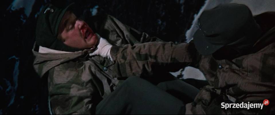 ORŁÓW RICHARD BURTON 1 płyta wielkopolskie Kalisz sprzedam