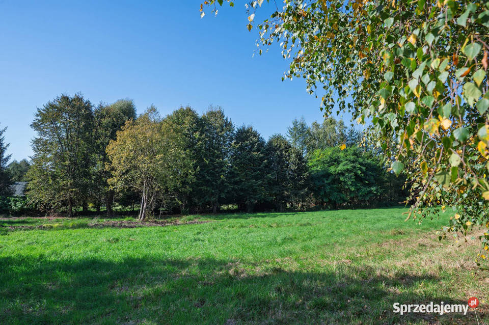 Działka budowlana z laskiem