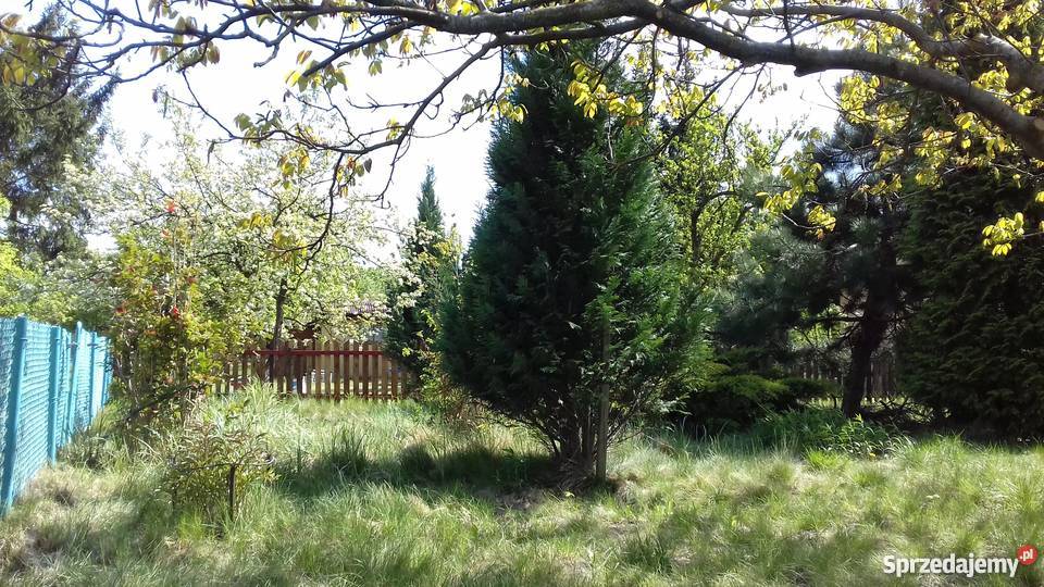 Sprzedam ogródek działkowy Płock