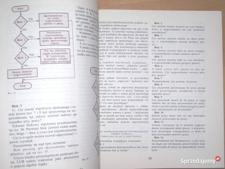 T Niewierowicz Świat algorytmów Warszawa