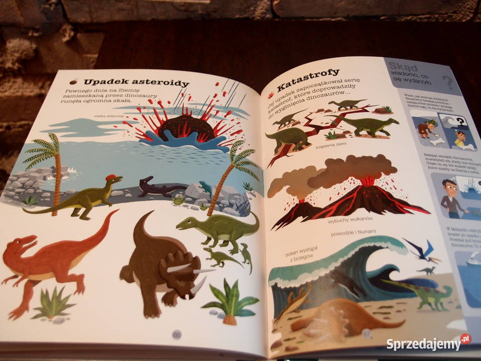 Encyklopedia dzieci Dinozaury Łódź