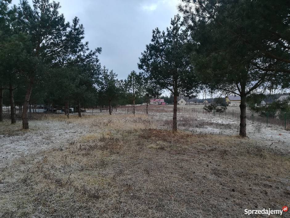 Sprzedam działkę 3000m2 Krąplewice