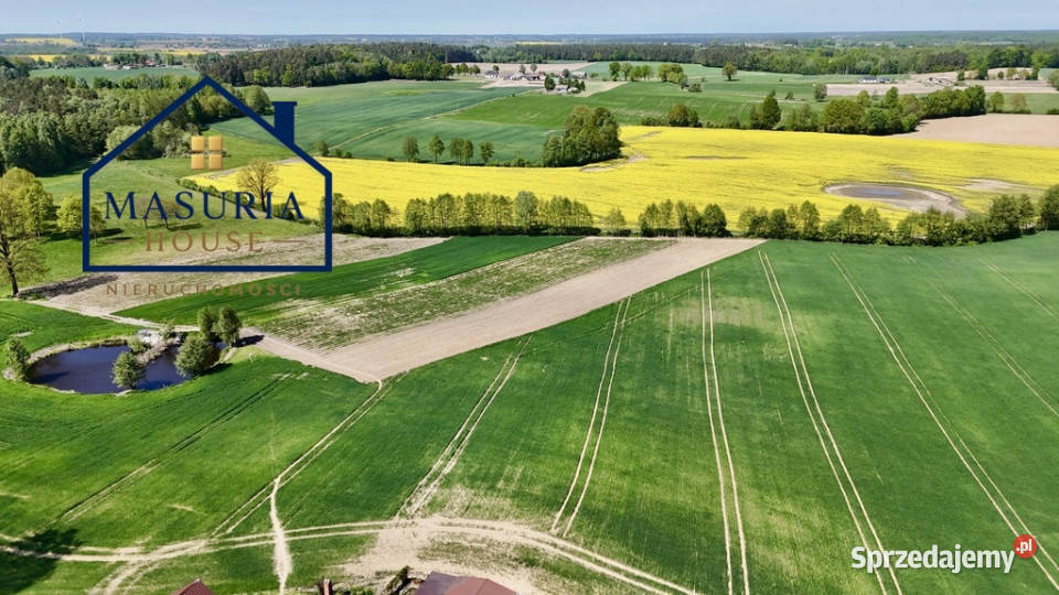 Działka lesie 15 min Iławy i Jezioraka Gulb