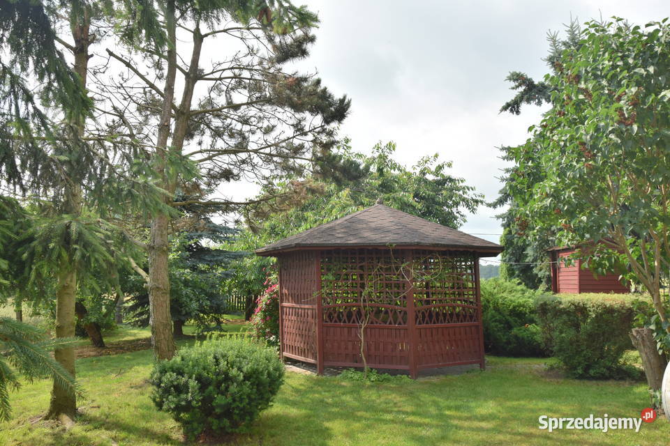 Sprzedam gospodarstwo rolne Wymokłe