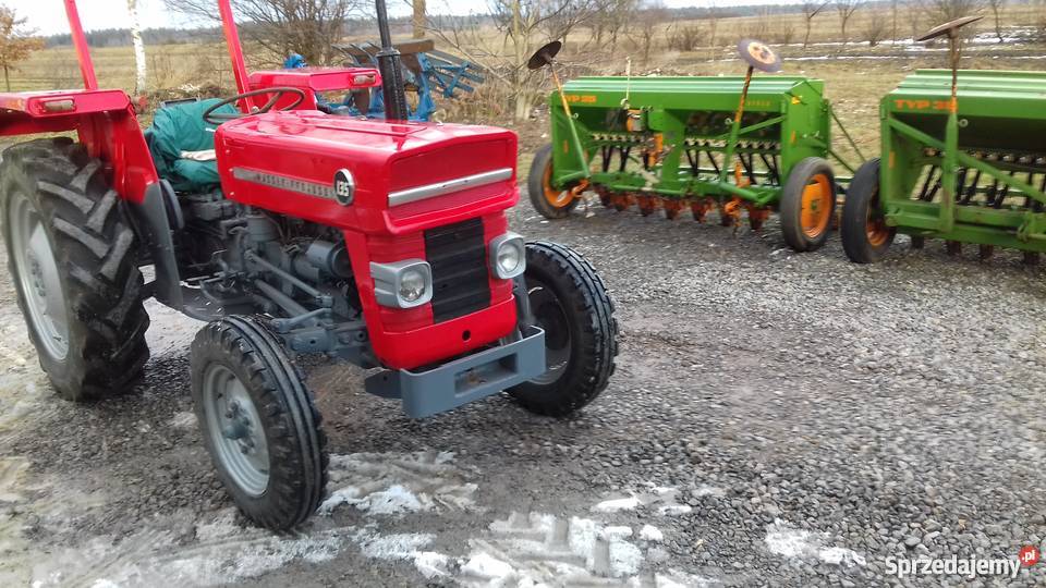 traktor MASSEY FERGUSON 135 Aleksandrów