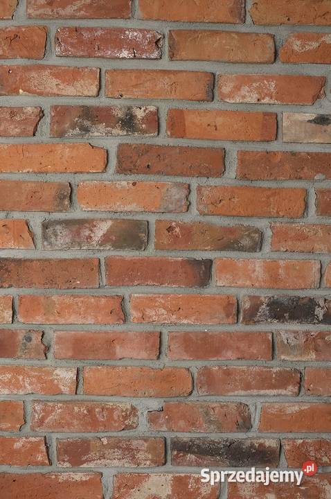 Płytki z cegły lico pomorskie Warszawa