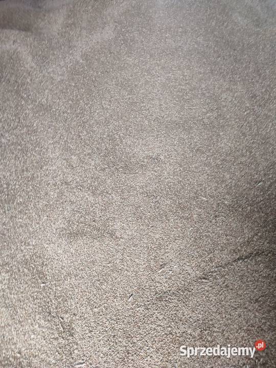 Żyto ozime czyste suche