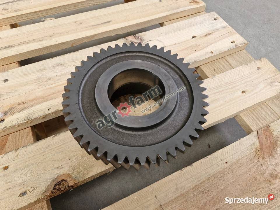 Koło zębate Z48 Case Magnum 235 260 280 Byków sprzedam