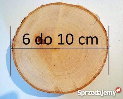 NAJTANIEJ plastry drewniane brzoza 610 gr 2 Rybnik