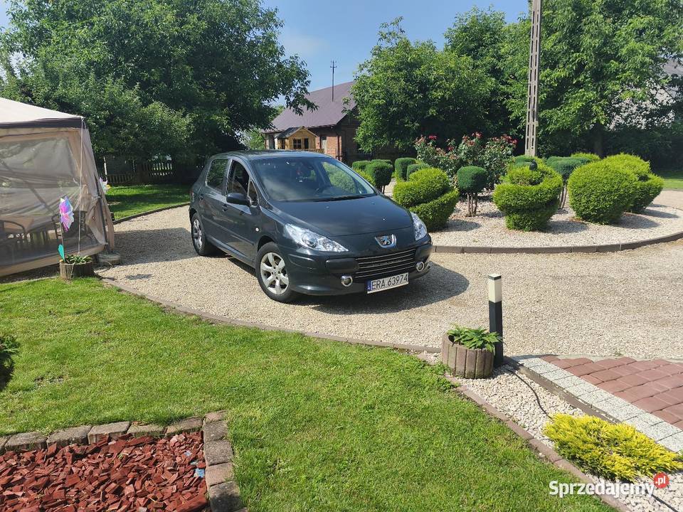 Peugeot 307 Przybyszów