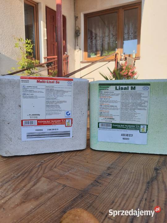 Lizawka Solna MULTI LISAL SE chlorek sodu sól Mołożów
