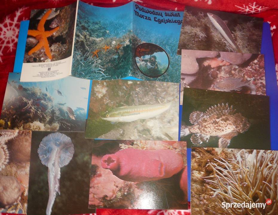 Pocztówka zestaw Podwodny świat morza egejskiego