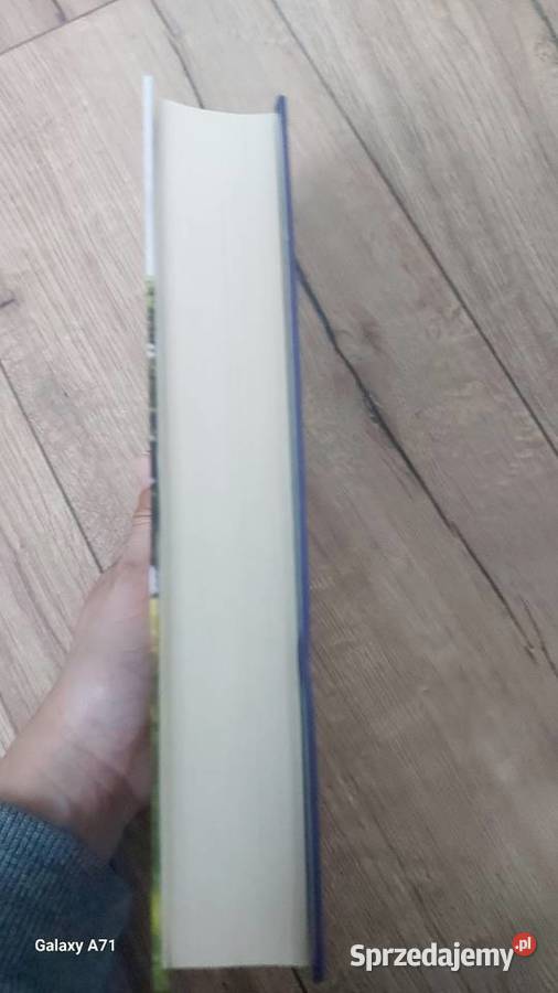 Książka Ania z Zielonego wzgórza Lucy Maud Stalowa Wola