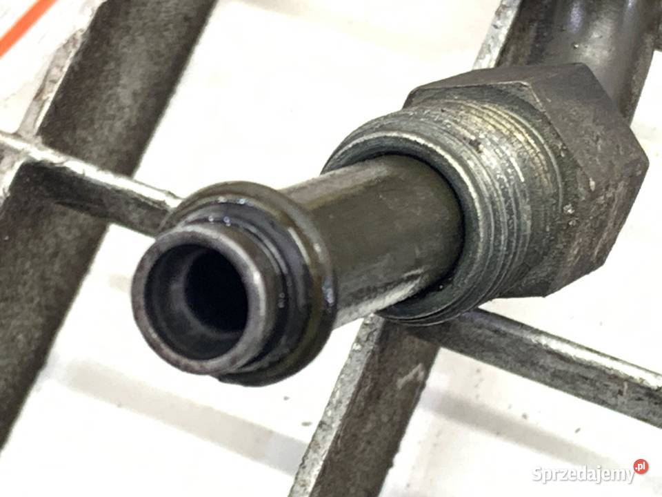 WĄŻ WSPOMAGANIA RENAULT SCENIC I 19 102 9910 osobowe