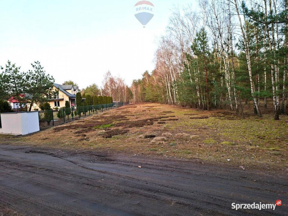 Działka z własnym lasem MPZP Ostrówek