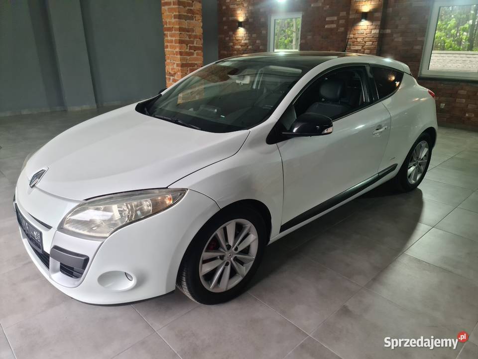 Renault Megane 19DCI BOSE Monaco GT śląskie Żarki