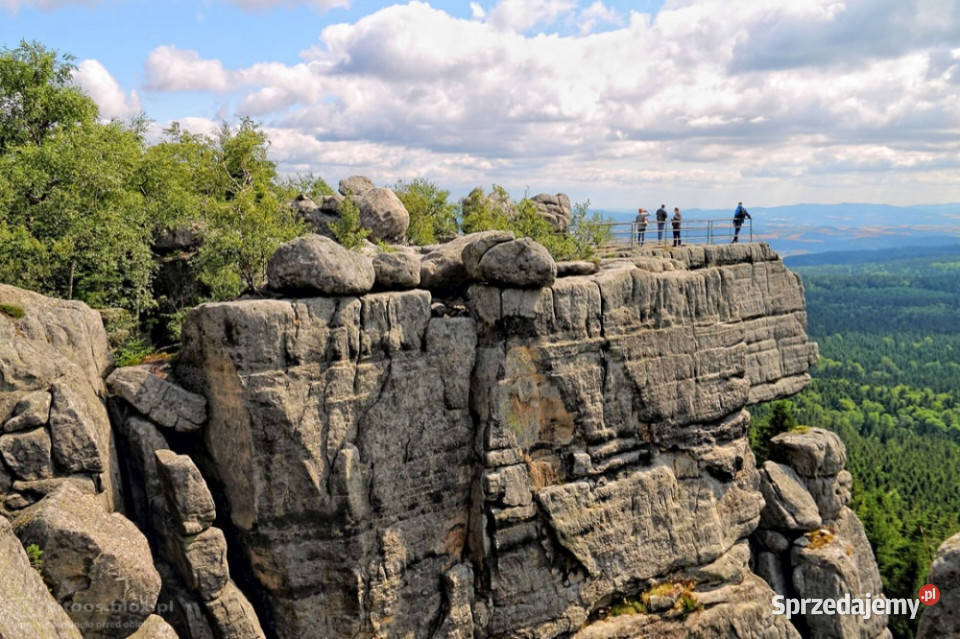 Sprzedam działkę obok PolanicyZdrojuSUDETYGORY Niwa