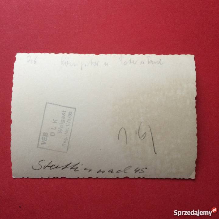 Komplet fotografii sprzedam