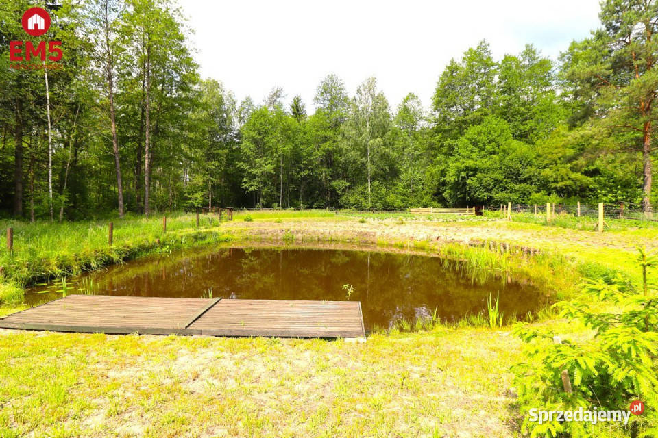 Działka 2761m2 Płaska sprzedam