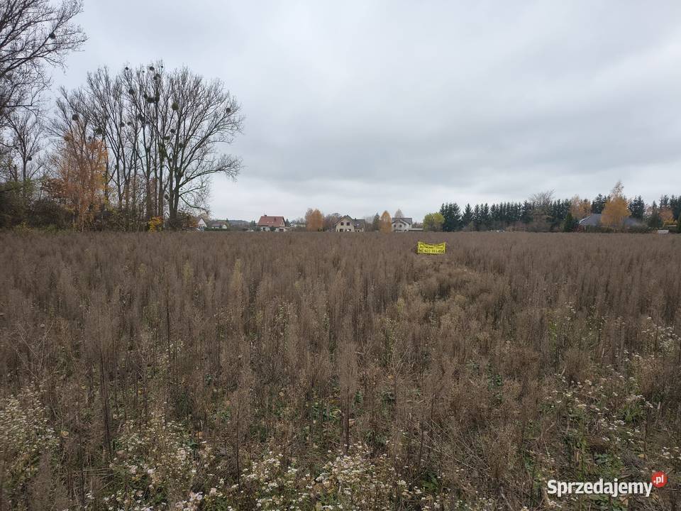 Sprzedam bezpośrednio działkę budowlaną Sprzedaż Nieruchomości Biskupice