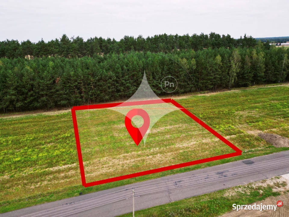 Działka budowlana w otoczeniu lasu