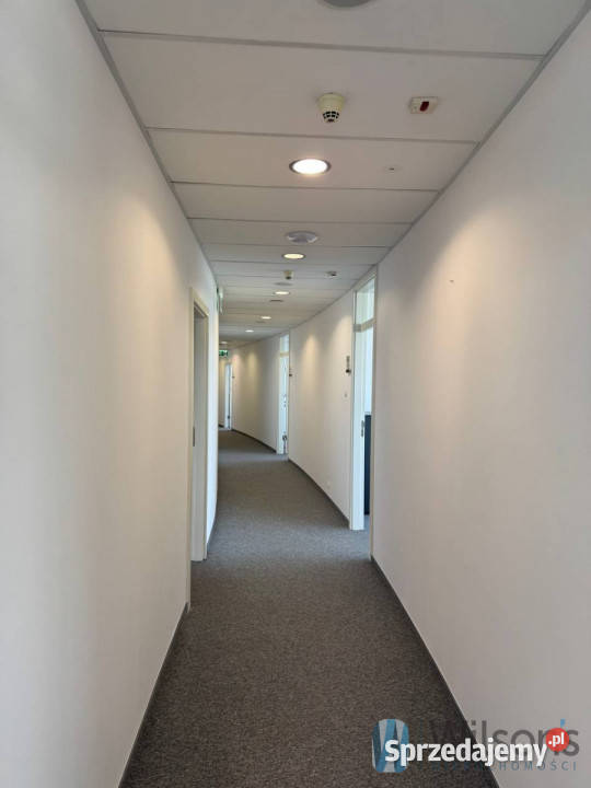 wynajmu lokalu Warszawa 50m2