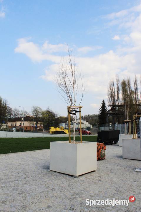 Betonowa donica Jumbo Świdnica