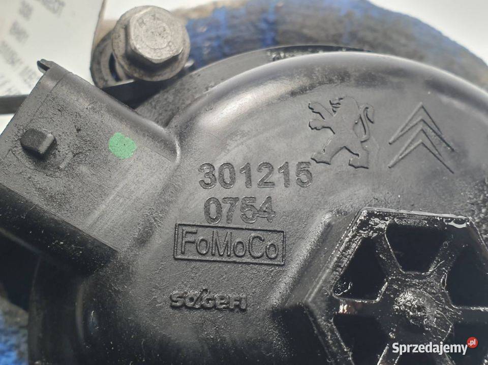 OBUDOWA FILTRA PEUGEOT 308 9676133480 Lipno