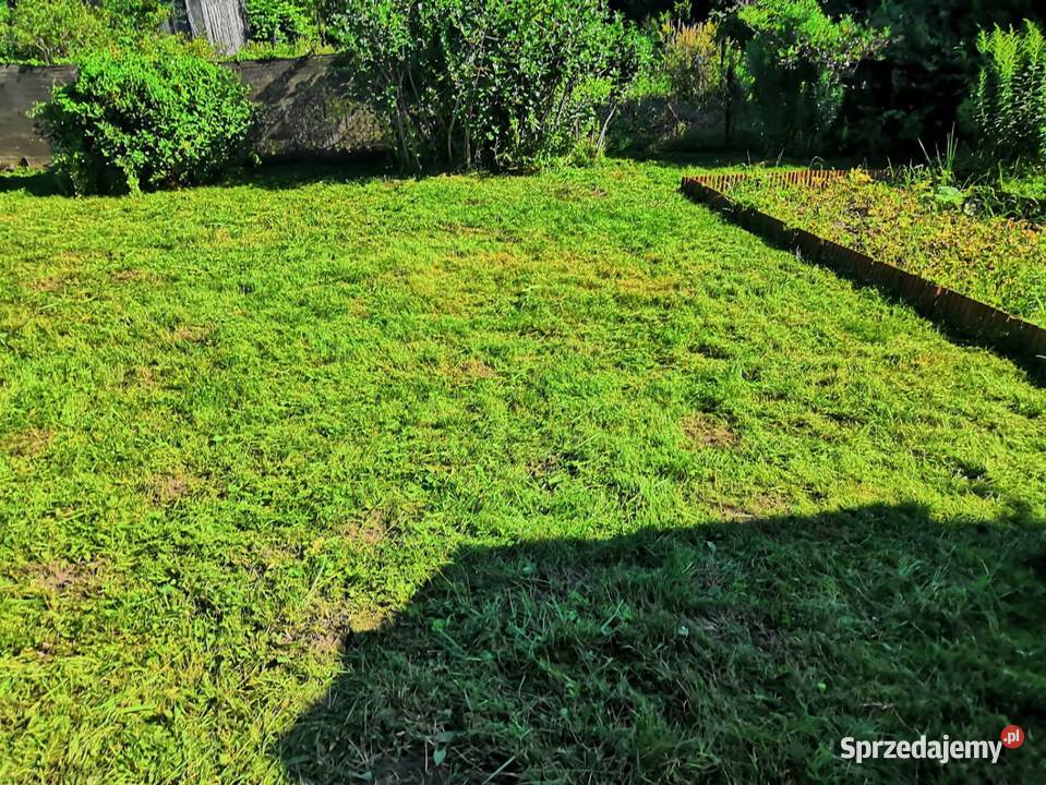 Działka ROD Wójtowa Rola Olsztyn