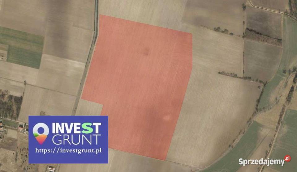 3292 ha przetarg na dzierżawę gruntów rolnych Pietrowice Małe