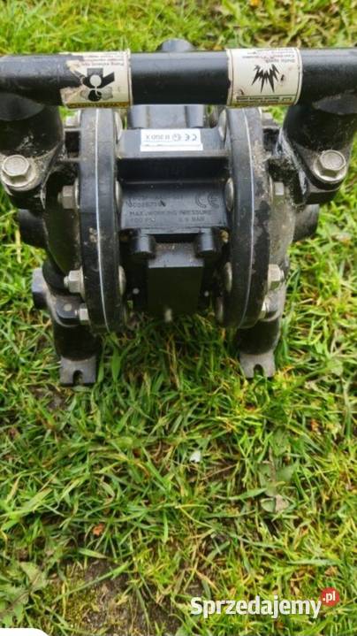 Pompa membranowa 12 ARO PD05PAASSTT Siennica