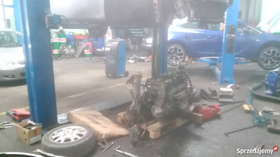 Silnik Alfa Romeo JTD 19 8v 115 84 kw osprzet pomorskie