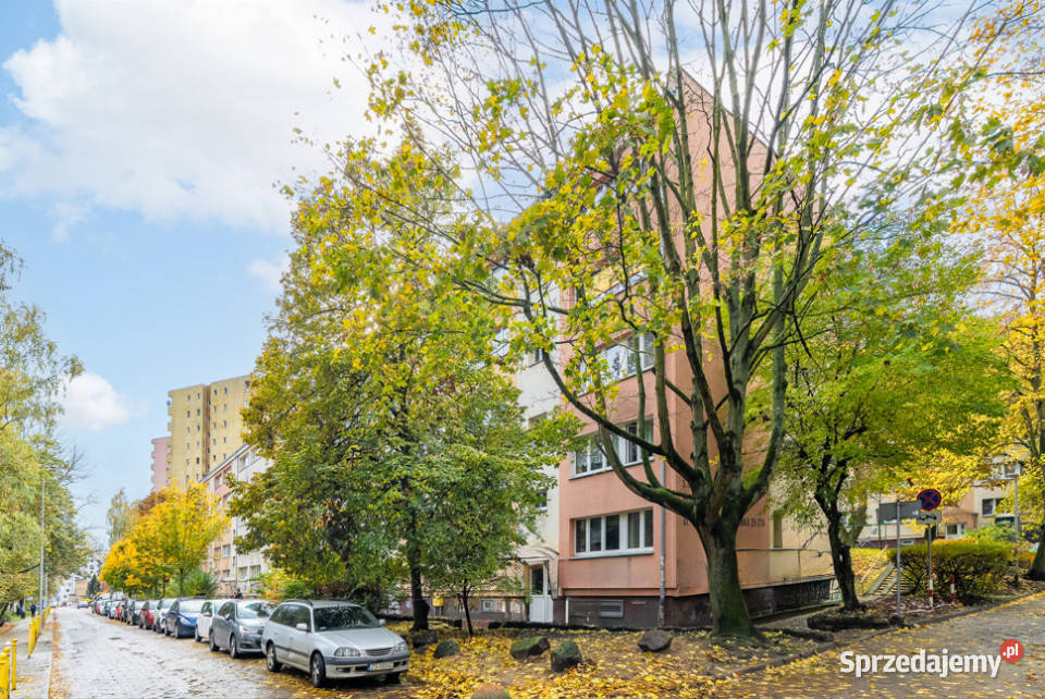 3 pokojowe mieszkanie sprzedaż Szczecin