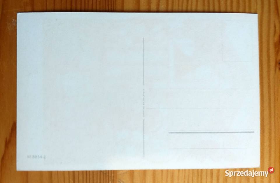 DZIEWCZYNKA W KAPELUSZU WŚRÓD SŁONECZNIKÓW