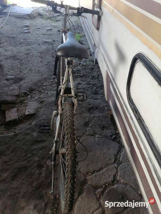 Rower męski Krotoszyn