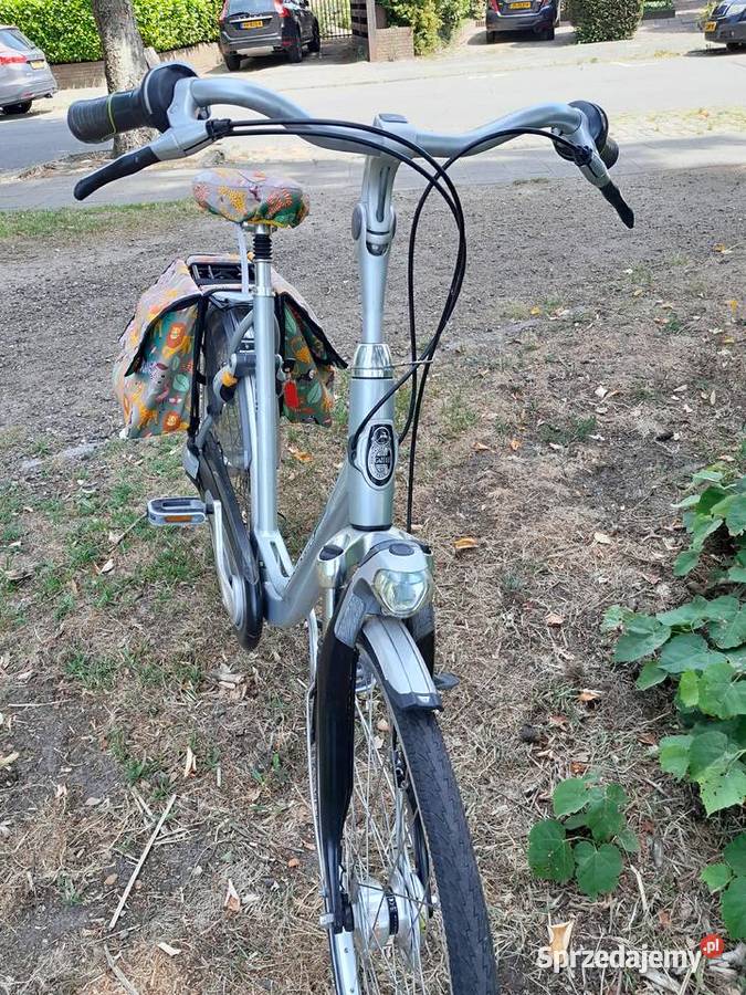 DAMKA GAZELLE Łuków