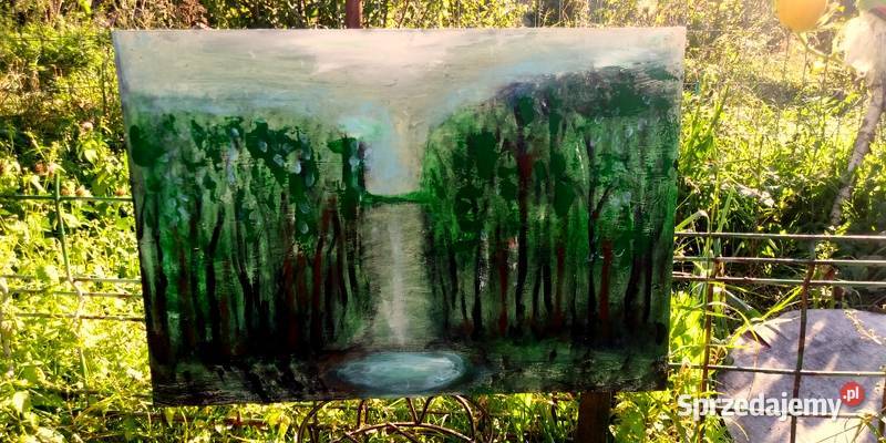 cichy las z jesiorkiem duży obraz Olsztyn