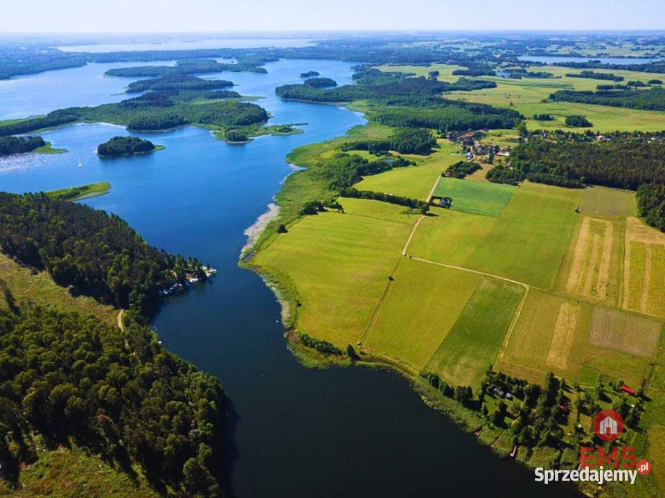Działka 3100m2 Ogonki