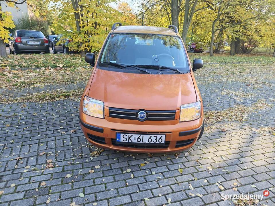 Panda oszczędny i zdrowy
