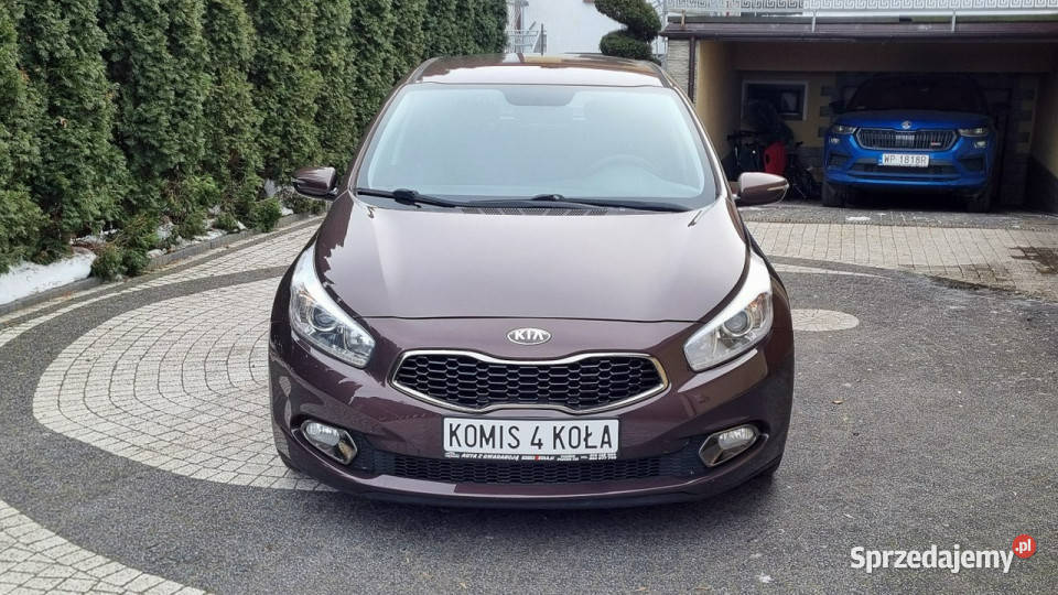 Kia Ceed Navi Kamera Alu LED 16 128 GWARANCJA Płońsk